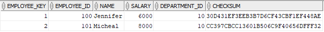 Dim_Employees table after the initial data load