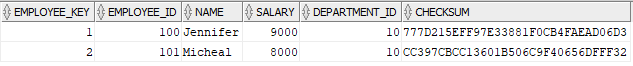 Dim_Employees table after the second load with modified data