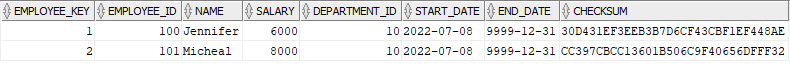 Dim_Employees table after the initial data load