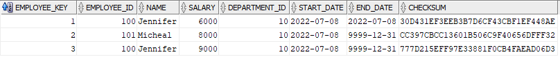 Dim_Employees table after the second load with modified data