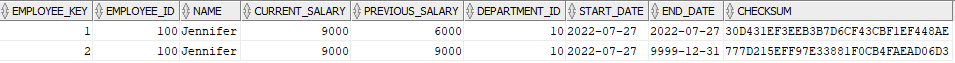 Dim_Employees table after the second load with modified data