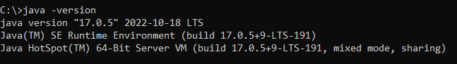 Command showing Java installation version on the machine