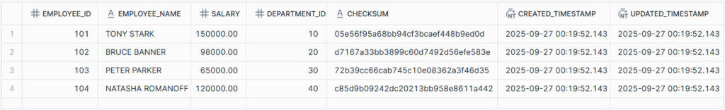 Dimension table after initial load
